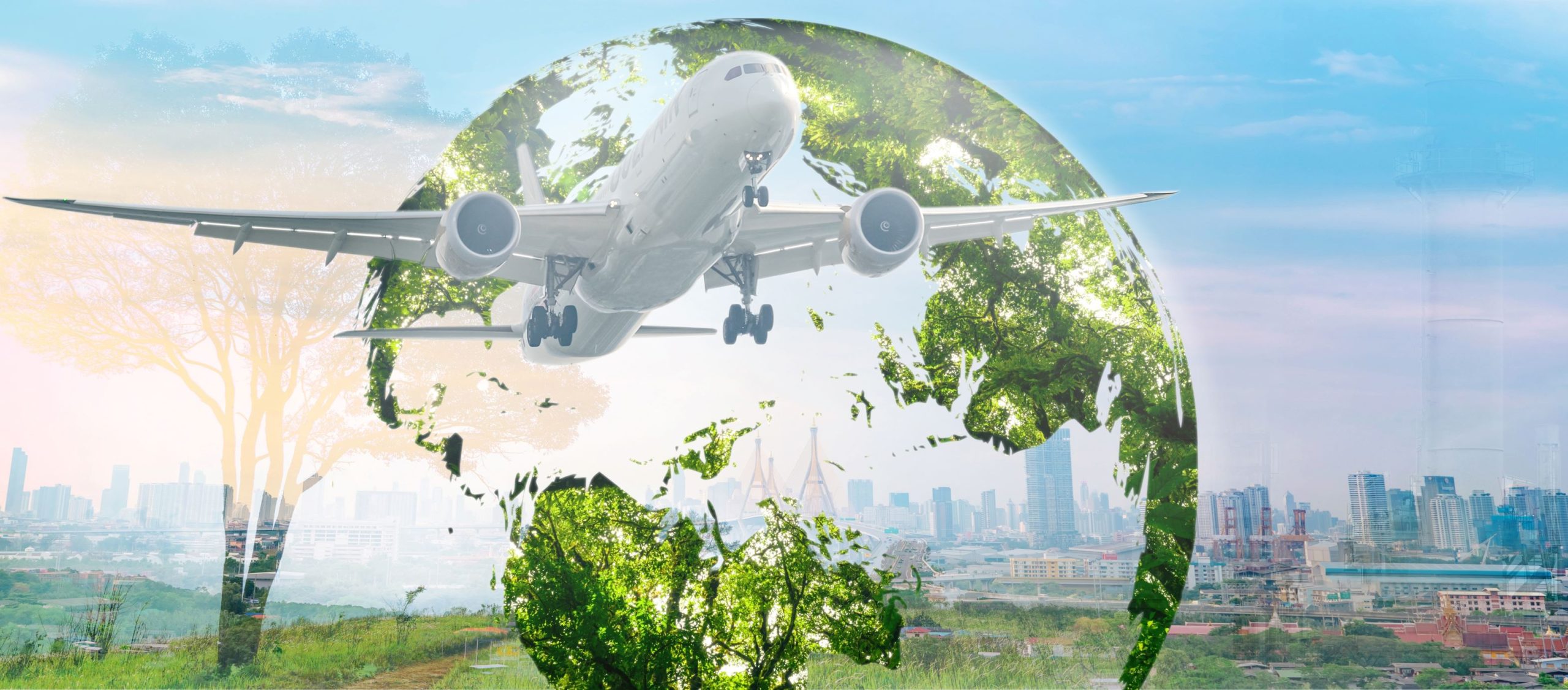 Leopard Aviation cares about the pilot's success, as well as the environment's over-all health.